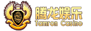 老街腾龙集团